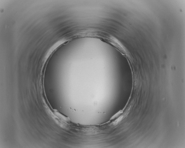 X0000072981434200608111730