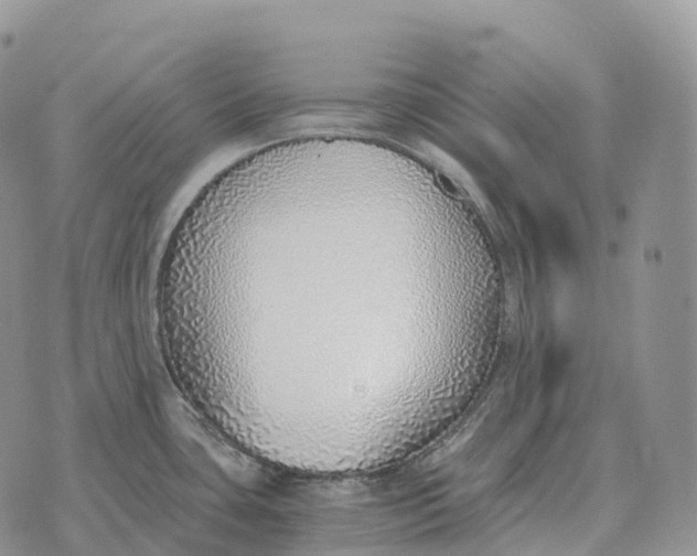 X0000072981435200608111730