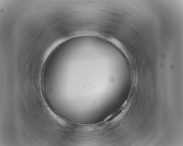 X0000072981438200608111730