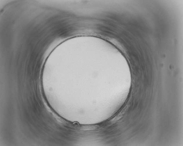 X0000072981440200608111730