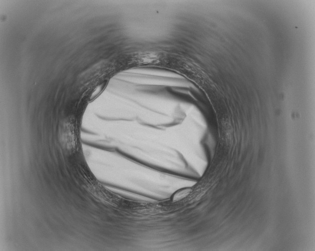 X0000072981442200608111729