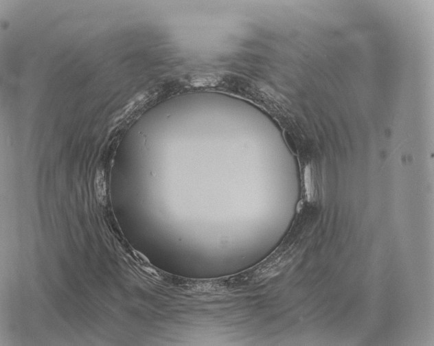 X0000072981443200608111729