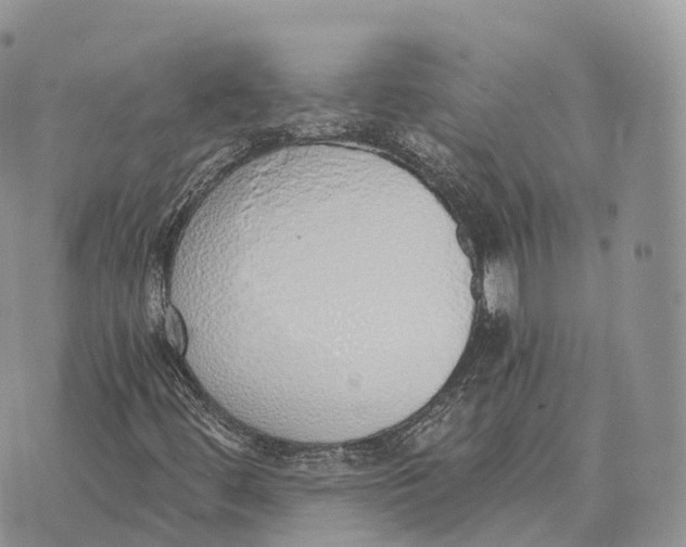 X0000072981444200608111729