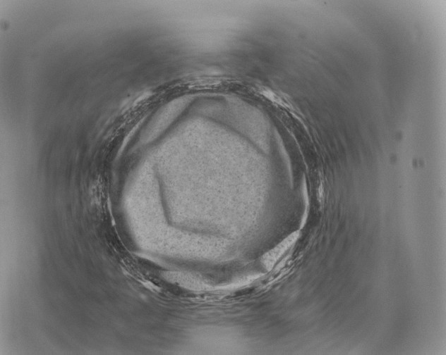 X0000072981445200608111729