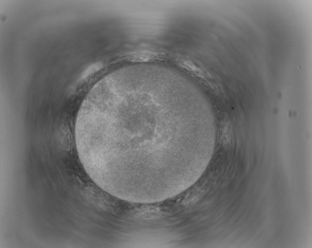 X0000072981446200608111729