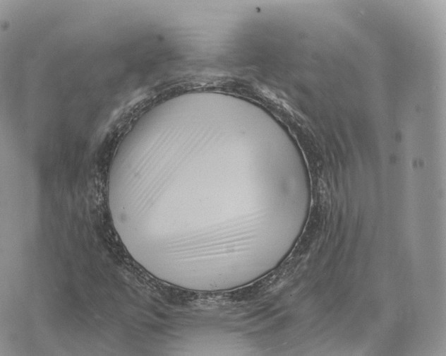 X0000072981447200608111729