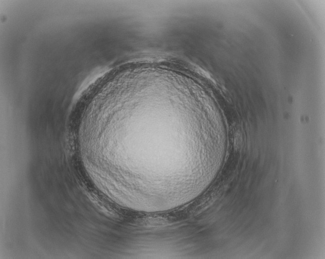 X0000072981448200608111729