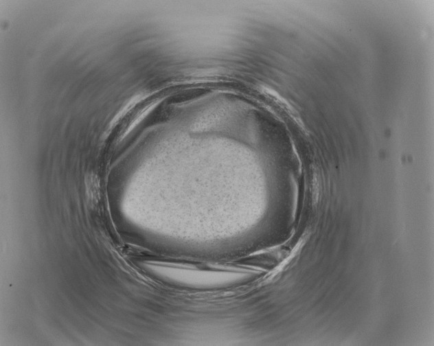 X0000072981449200608111729