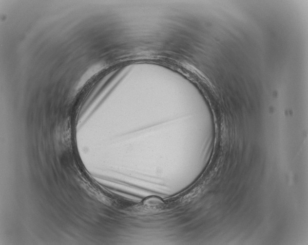 X0000072981450200608111729