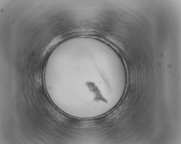 X0000072981451200608111729