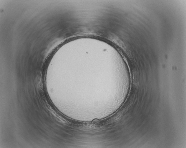 X0000072981452200608111729