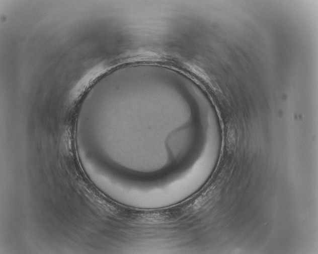 X0000072981455200608111729