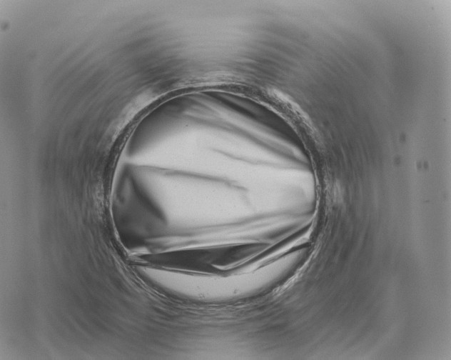 X0000072981457200608111729