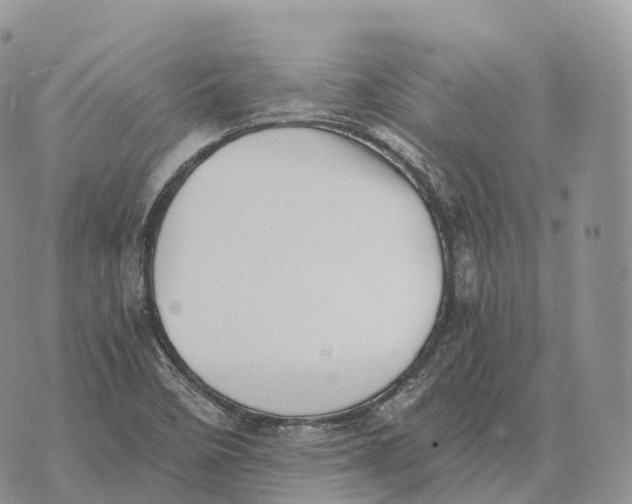 X0000072981458200608111729