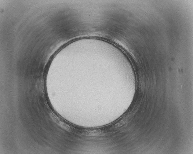 X0000072981460200608111729