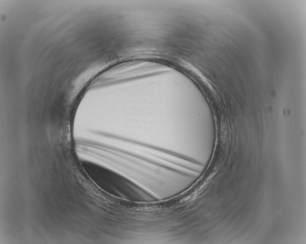 X0000072981461200608111729