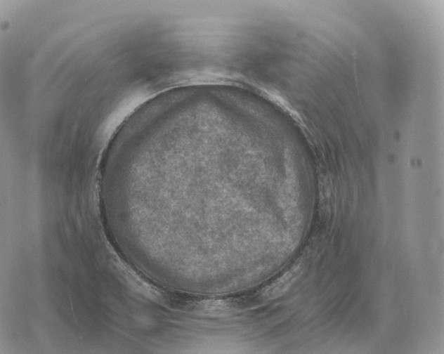 X0000072981463200608111729