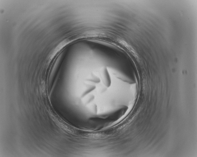 X0000072981465200608111729