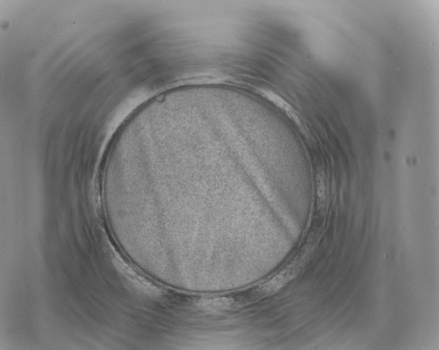 X0000072981466200608111729