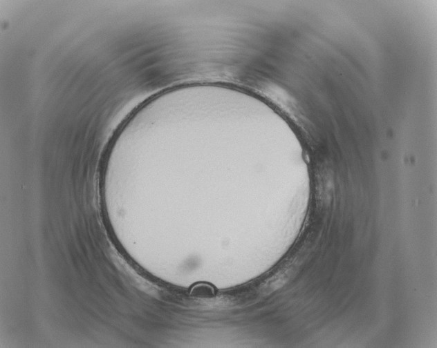 X0000072981468200608111729