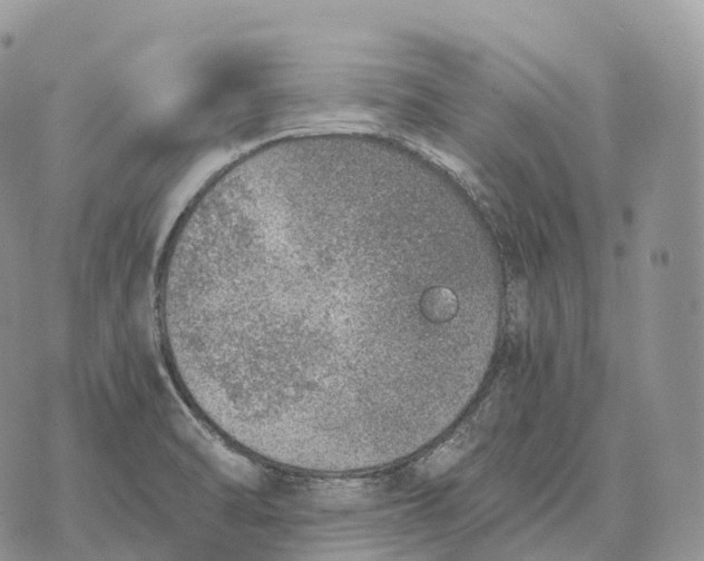 X0000072981470200608111729