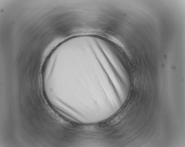 X0000072981472200608111729