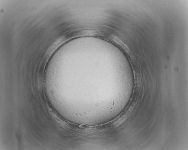 X0000072981473200608111729