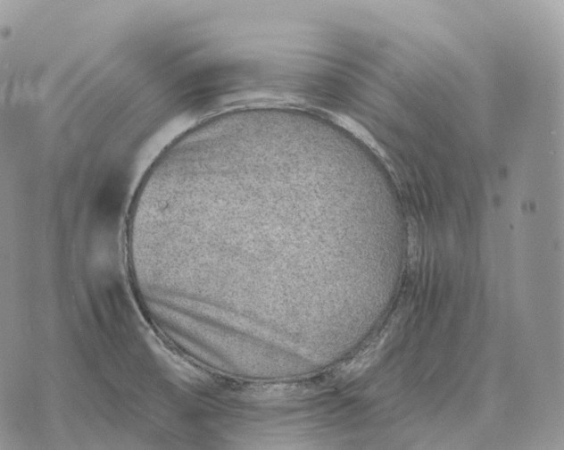 X0000072981474200608111729