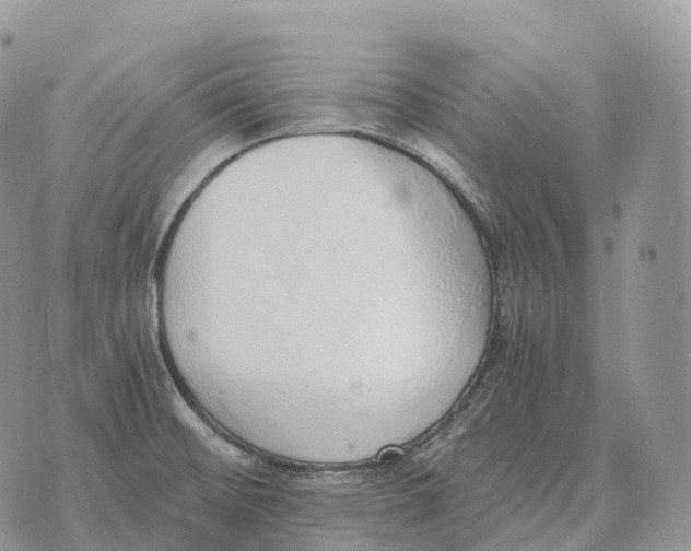 X0000072981476200608111729