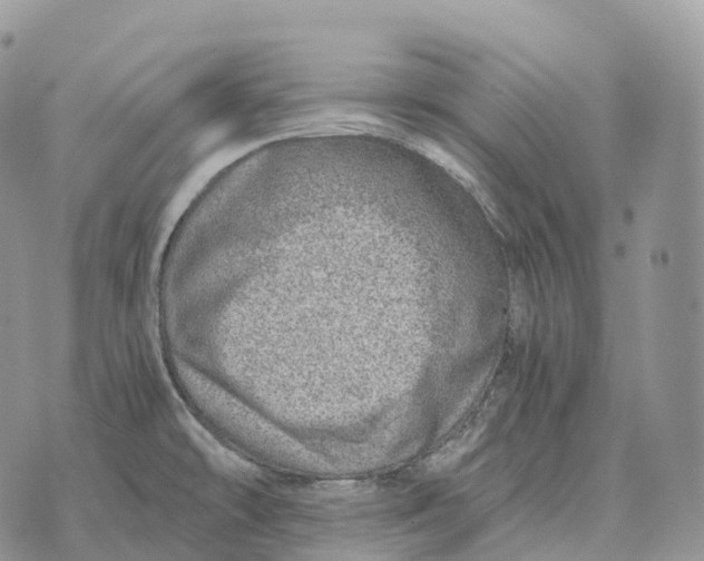 X0000072981478200608111729