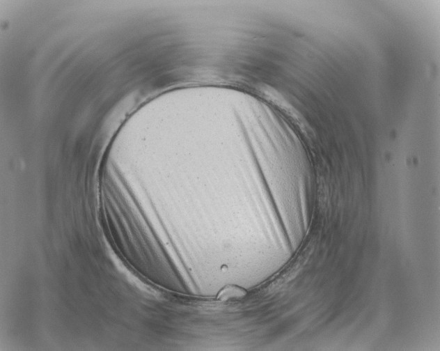 X0000072981479200608111729