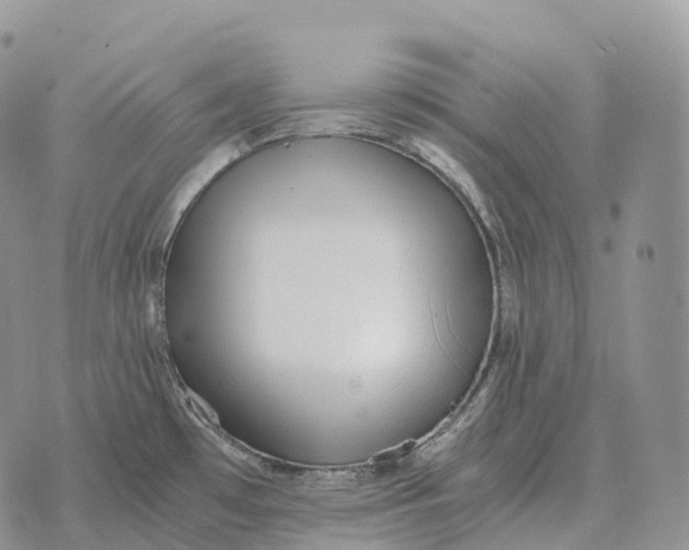 X0000072981481200608111729