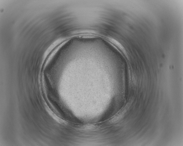 X0000072981482200608111729