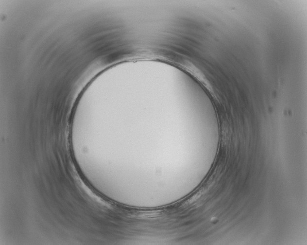 X0000072981484200608111729