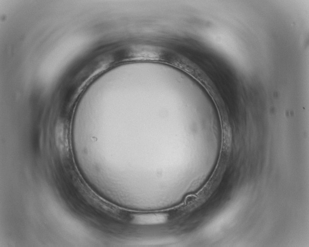 X0000072981487200608111729