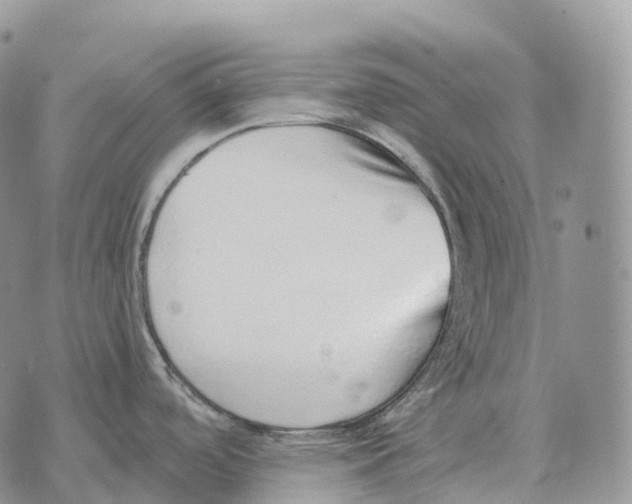 X0000072981488200608111729