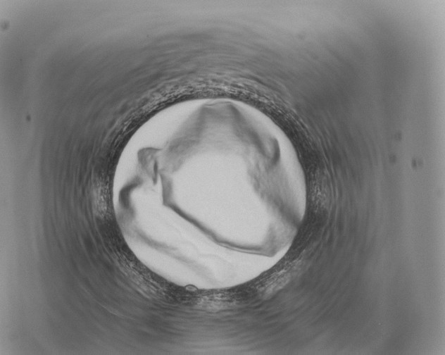 X0000072981490200608111728