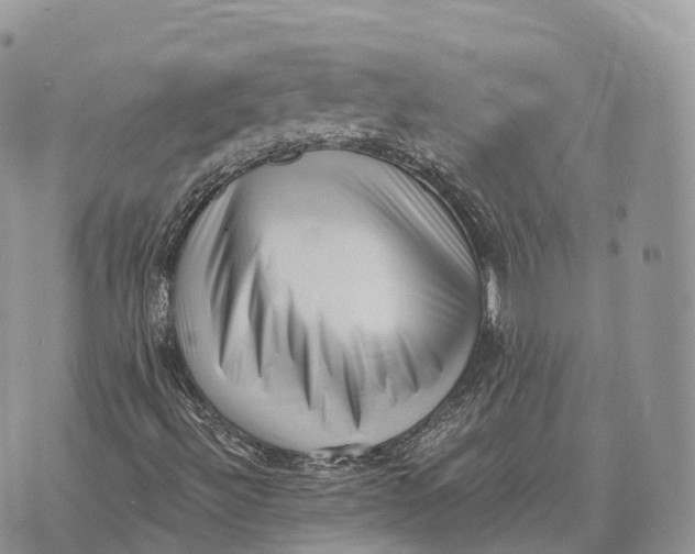 X0000072981492200608111728