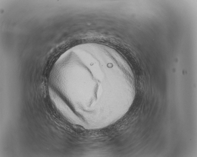 X0000072981493200608111728