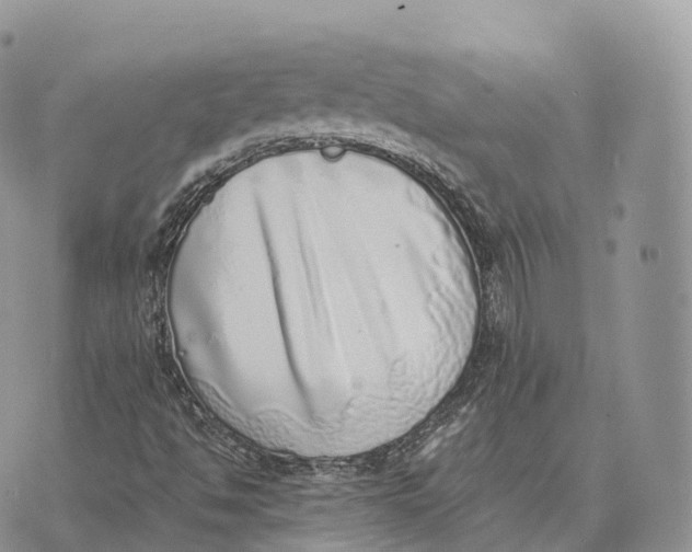 X0000072981494200608111728