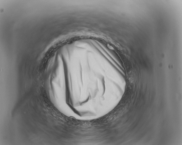 X0000072981495200608111728