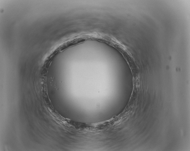 X0000072981496200608111728