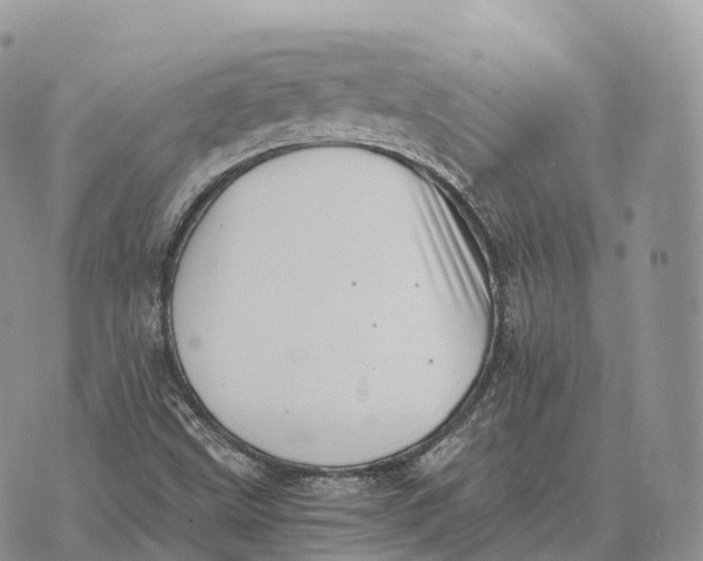 X0000072981499200608111728