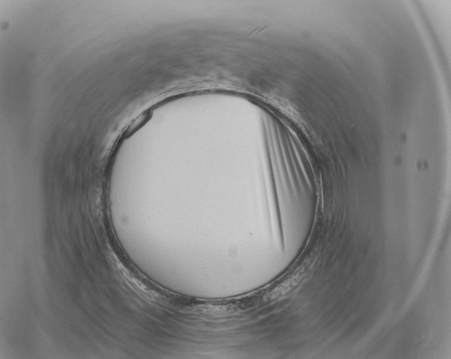 X0000072981500200608111728