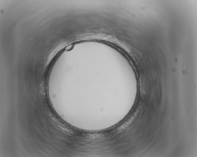 X0000072981501200608111728