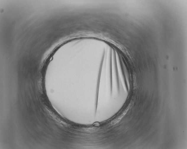 X0000072981502200608111728