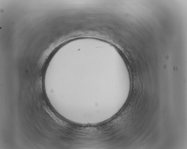 X0000072981503200608111728