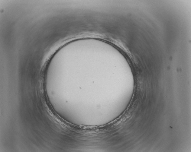 X0000072981504200608111728