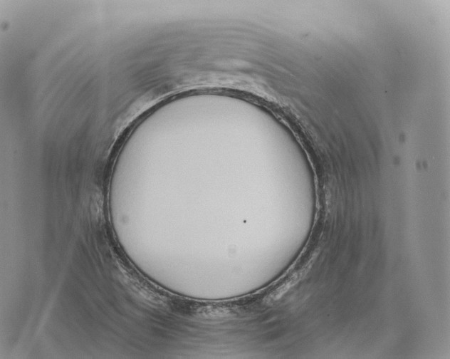 X0000072981505200608111728