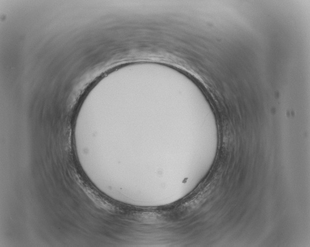 X0000072981507200608111728